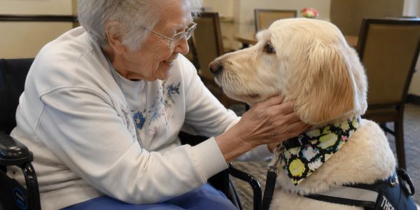 Elderly woman smiling at a therapy dog.