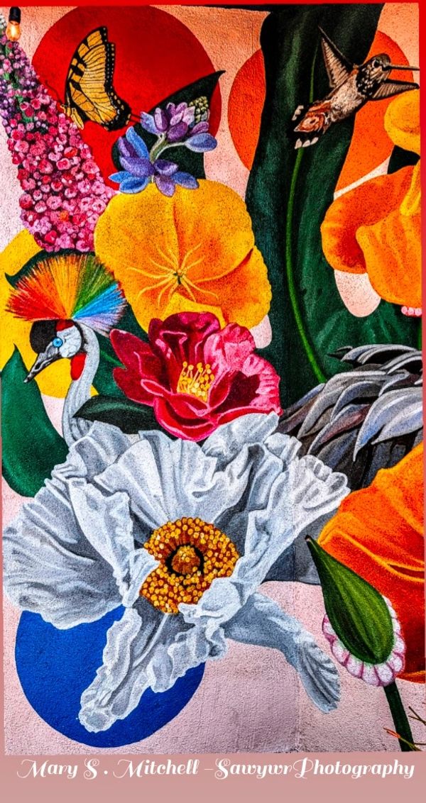 Colorful mural featuring flowers, a bird with a rainbow crown, a butterfly, and a hummingbird.