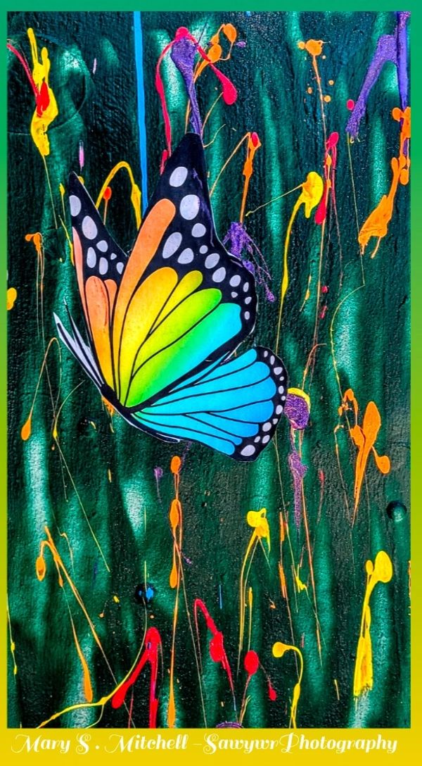 Vibrant rainbow butterfly against a textured, colorful abstract background.