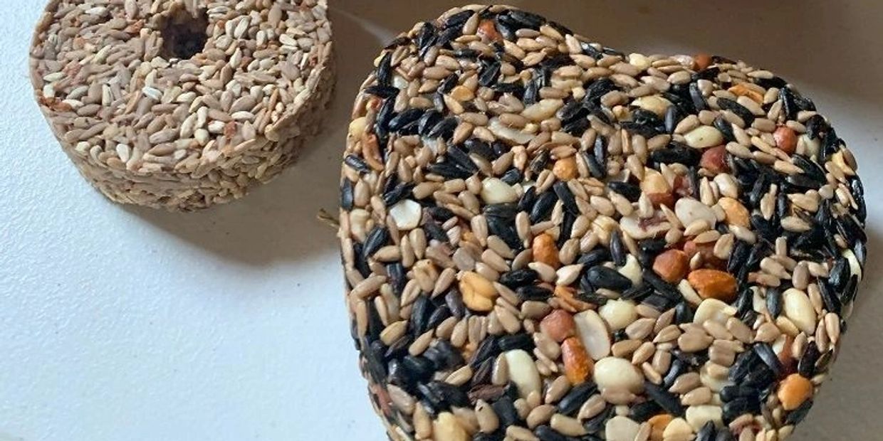 Small-batch birdseed made for backyard feeding through Willis Outdoors LLC