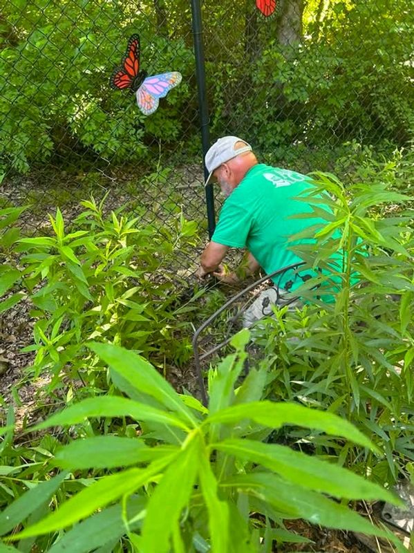 Ronald Willis, fence professional, repairs a 6' tall residential black vinyl coated chain-link fence