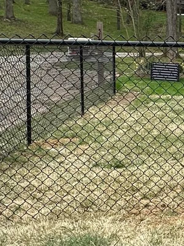 Bblack vinyl coated chain-link fence replacement in Newburgh, Indiana by Willis Outdoors LLC