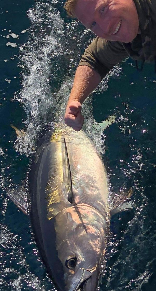 Bluefin Tuna - Cornwall
www.cornishfishing.co.uk