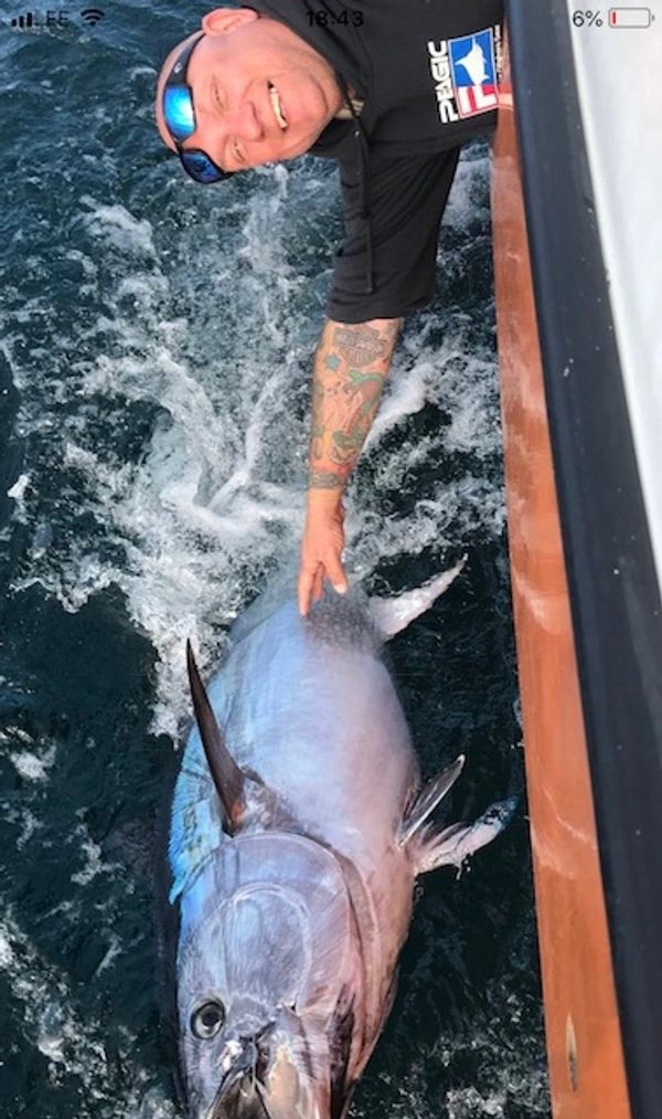 Bluefin Tuna - Cornwall
www.cornishfishing.co.uk