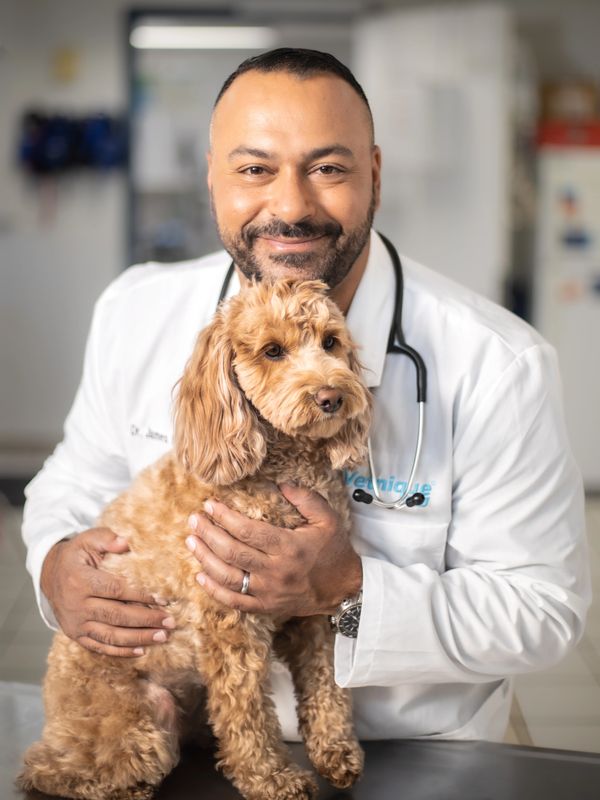 James Bascharon, CEO & Founder of Vetnique