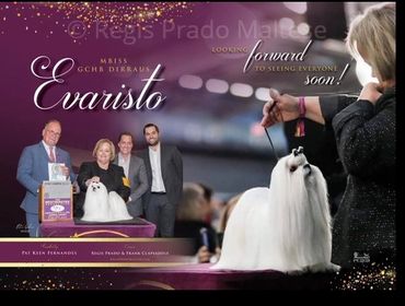 BISS GCHB DIRRAUS EVARISTO