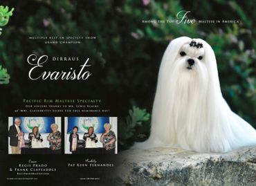 BISS GCHB DIRRAUS EVARISTO