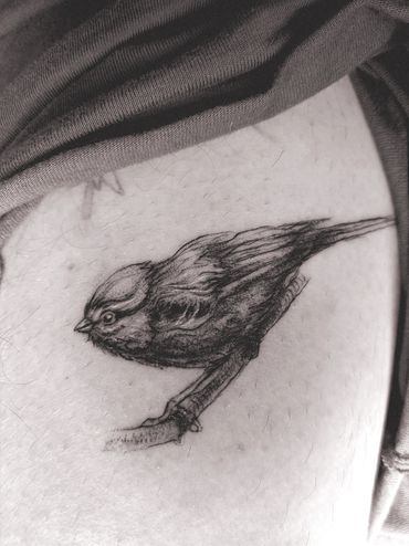 Detailed black ink tattoo of a small bird perched on a branch.