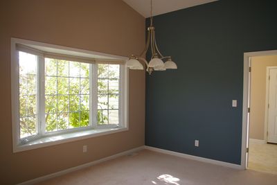 Interior painting - repaint - trim & walls.
