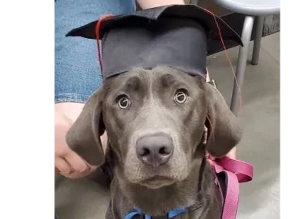 She graduated