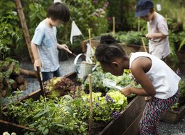 Food literacy. School gardens. Healthy eating.