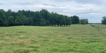 206 Acres Coalgate Cattle Ranch For Sale Coalgate, OK, Coal County.