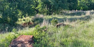 21 ± Acres Hunting and Recreaction Ranch,
Loco, Oklahoma, Stephens County. Southwest Ranch and Farm