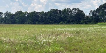 40.33 +/- Acre Texas Land  For Sale De Kalb, TX, Bowie County.