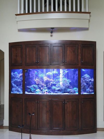 Mission Hills custom 450 gallon Reef aquarium with acropora reef and seahorses on ends
