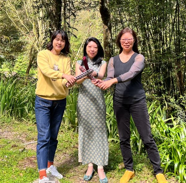 Pai Da Gong tool is easy to carry and easy to do anywhere