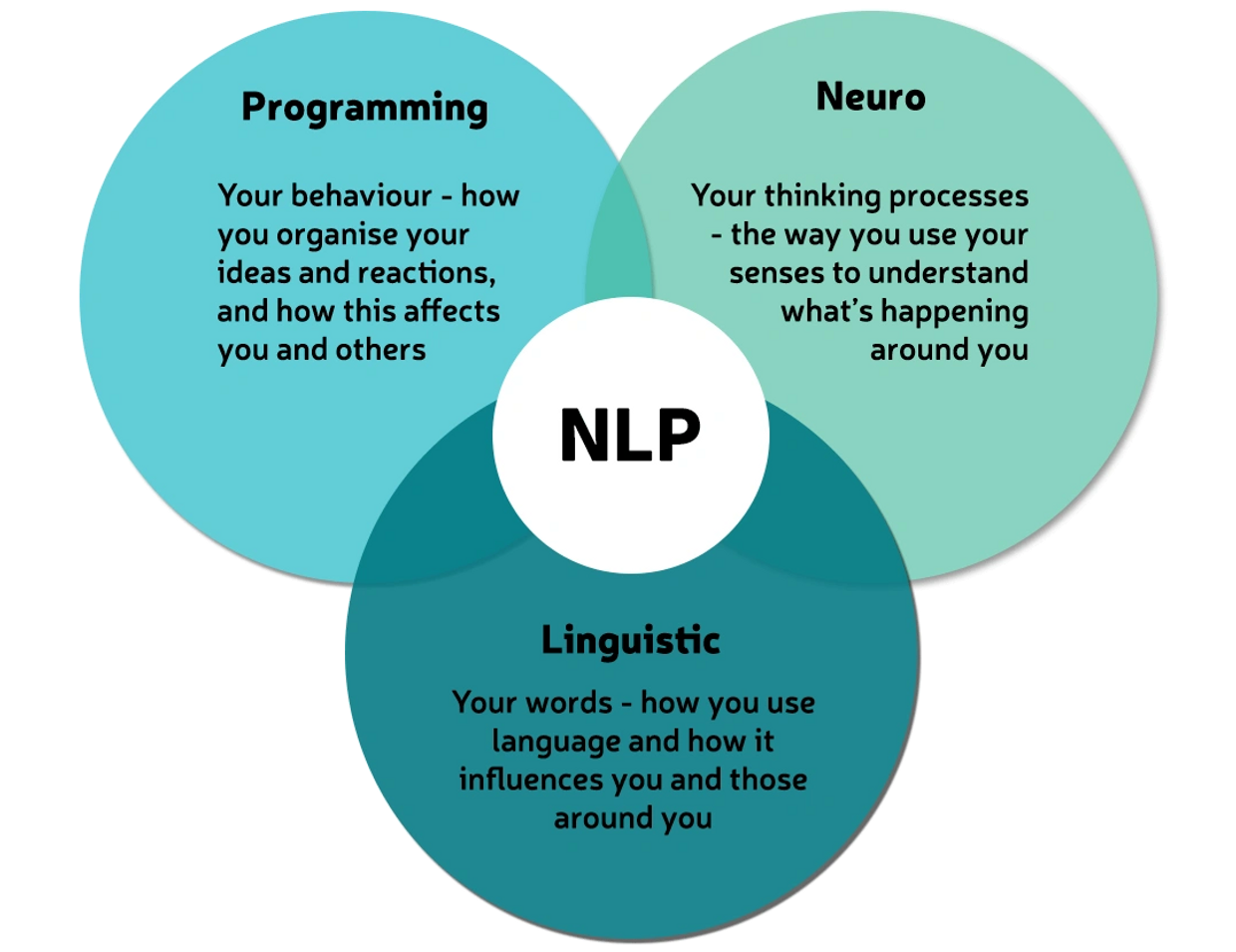 NLP diagram