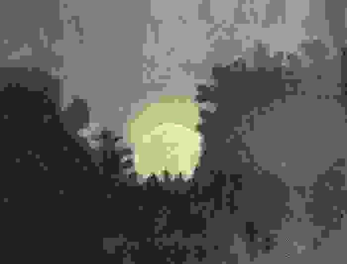 image2856
