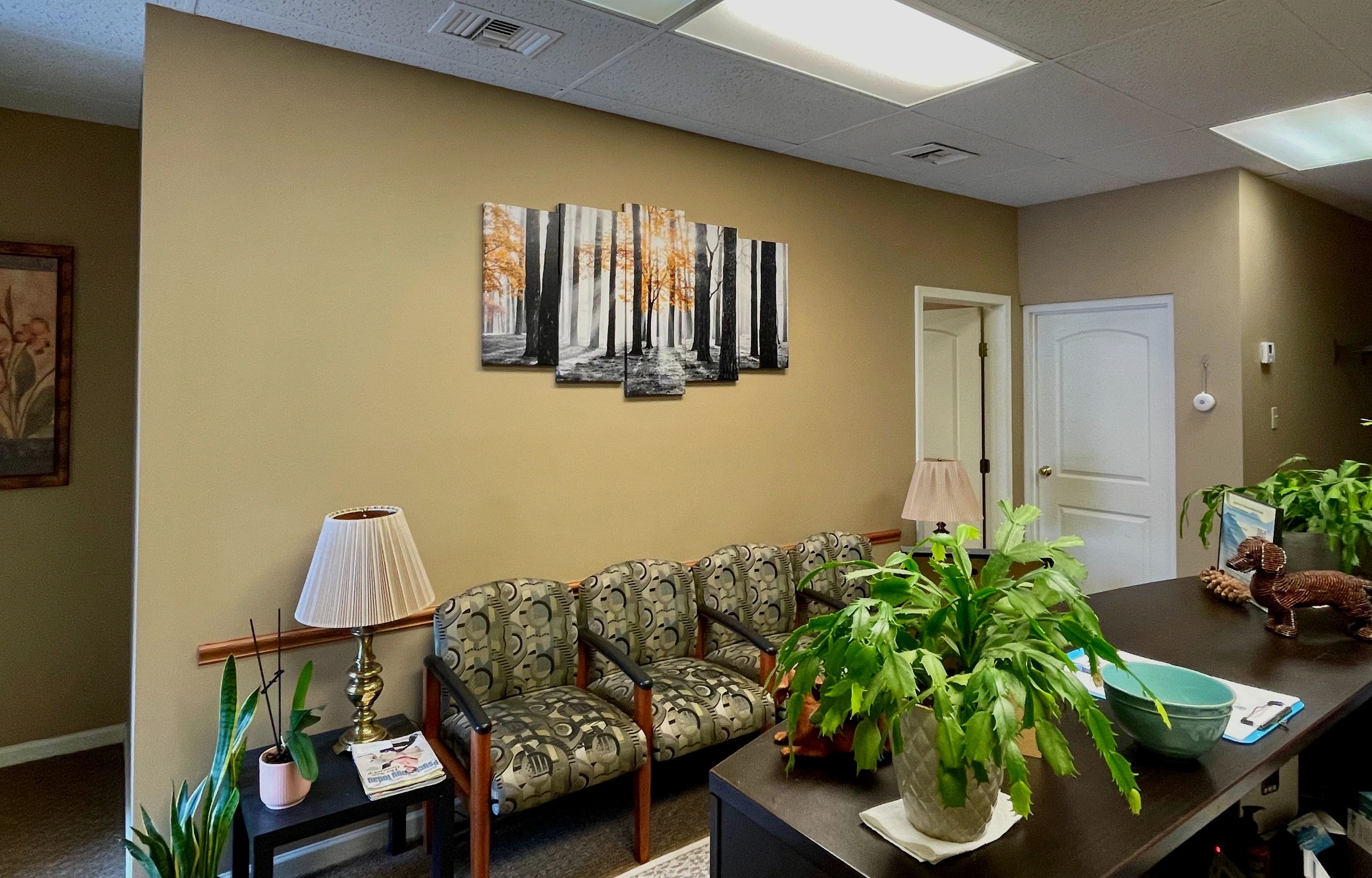 Office waiting area with chairs and plants.