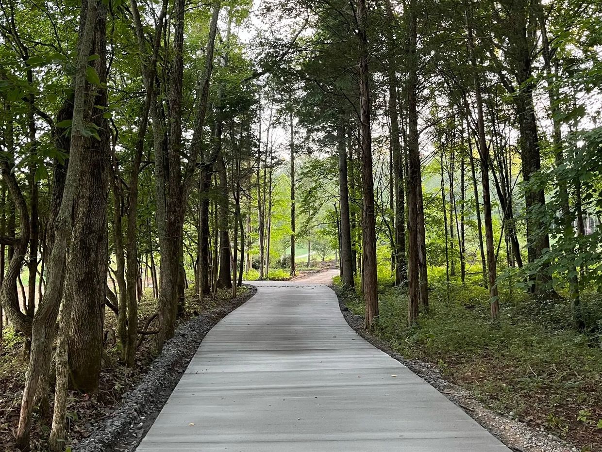 Curved concrete path through a green forest.