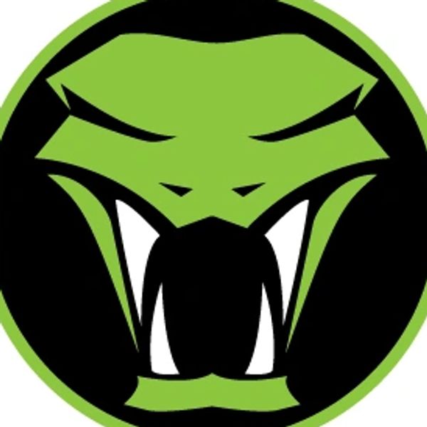 Viper Security Inc Ventura County Security Services