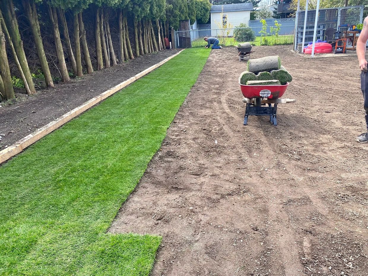 Chilliwack Sod Installations