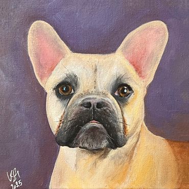 French bulldog dog portrait, 8x8 inch acrylic on canvas.