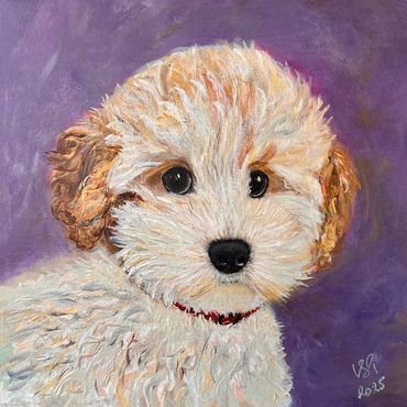 Poodle portrait, 10x10 inch on canvas.