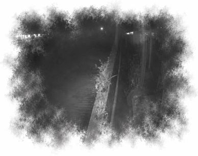 Black and white night scene with plants along a walkway and distant lights.