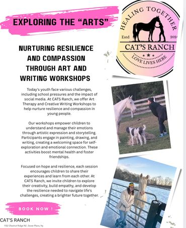 $175 per private instruction..Art and Writing around horse experiences. One of its' kind...