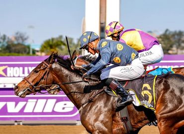 Glistian Syndicate horse Camford Queen winner