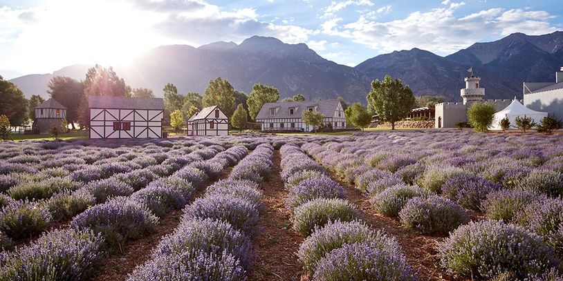 Young Living Mona, Utah Farm