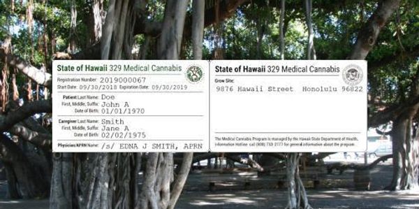 Hawaii 329 card floating on top of a picture of a banyan tree.