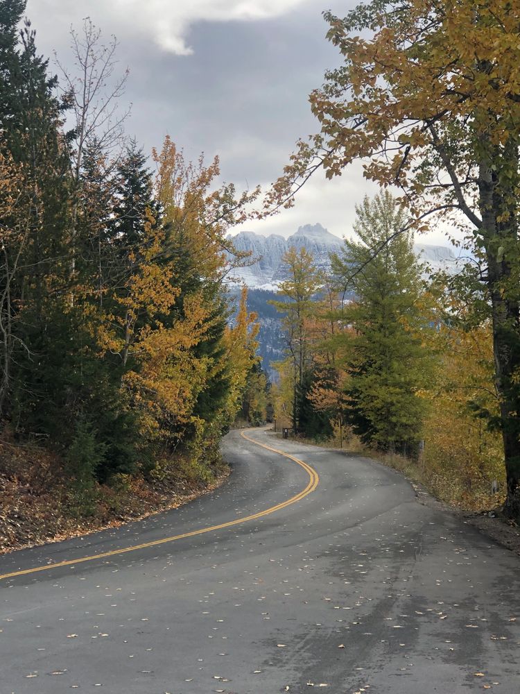 fall in glacier national park on going to the sun road