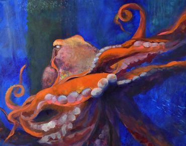 Great Pacific Octopus at Newport Aquarium