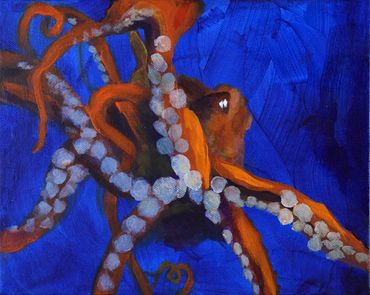 Great Pacific Octopus at Newport Aquarium reacting to children
