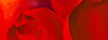 large wall art - stunning study of a red rose