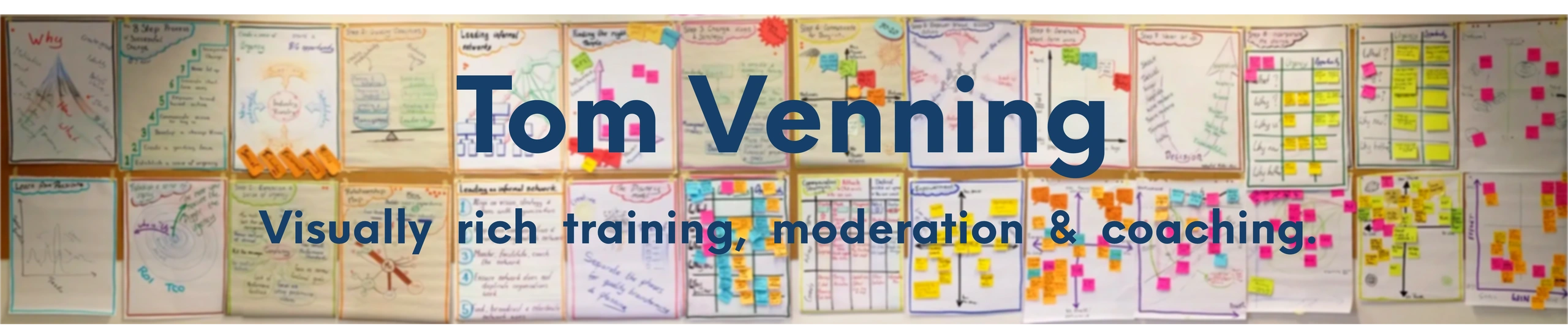 Tom Venning. Leadership development. B2B sales training. Meeting Moderation. Leadership Coaching. 
