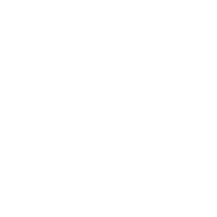 VIP Vacays
