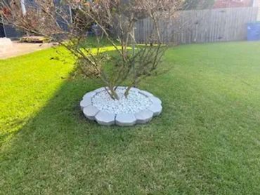 Tree ring filled with white rocks and trimmed with white brick pavers