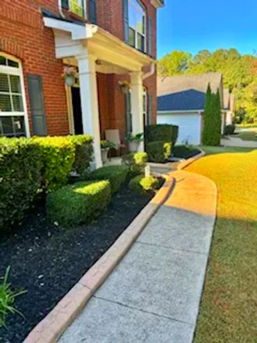 Black mulch bed and trimmed bushes
