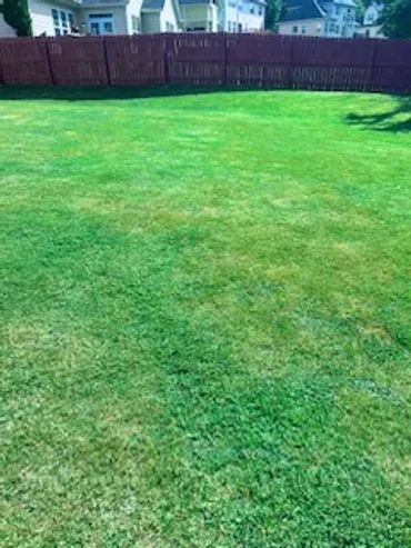Freshly mowed lawn with fence