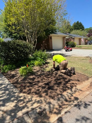 sod installation