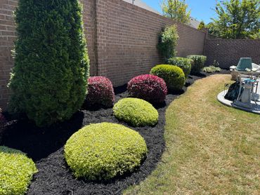 fresh, clean, landscaping