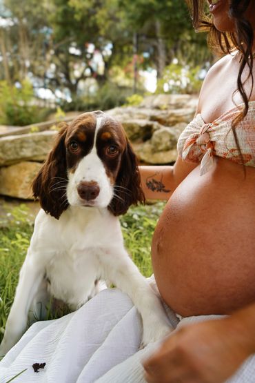 A dog gently resting its paw on a pregnant woman's belly outdoors.