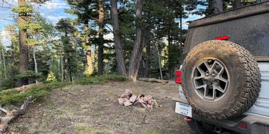 SUV parked near a campfire in a forest clearing.
