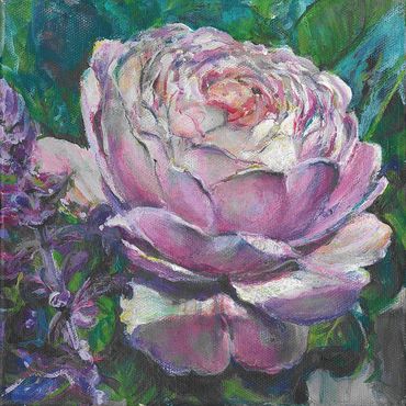 Pink Rose Painting
Austin Roses