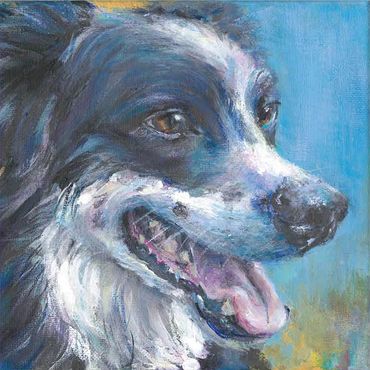 Border Collie Painting