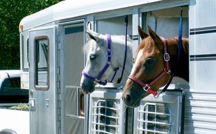 Southeast Mounted Drill Team Association SEMDTA General Equestrian Hauling & Travel Information