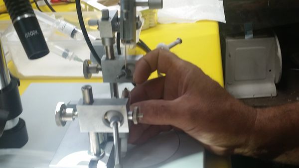 The queen's abdomen needs to be placed in the back of the tube